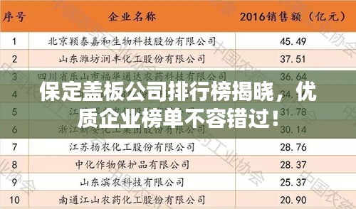 保定盖板公司排行榜揭晓，优质企业榜单不容错过！