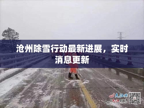 沧州除雪行动最新进展，实时消息更新