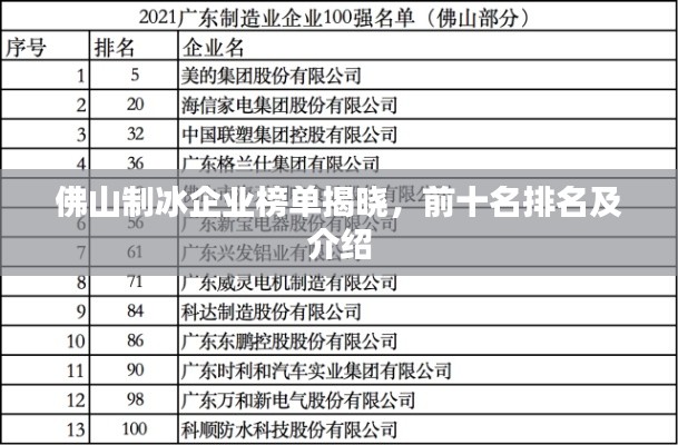 佛山制冰企业榜单揭晓，前十名排名及介绍