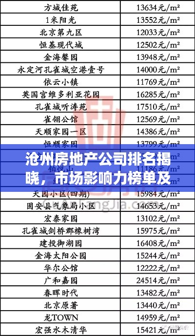 沧州房地产公司排名揭晓，市场影响力榜单及深度解析