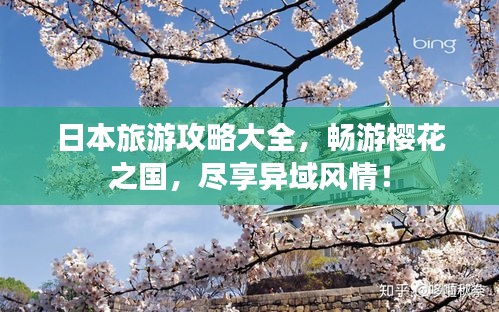 日本旅游攻略大全，畅游樱花之国，尽享异域风情！