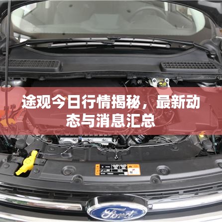 途观今日行情揭秘，最新动态与消息汇总