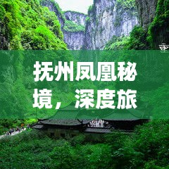抚州凤凰秘境，深度旅游攻略大揭秘！