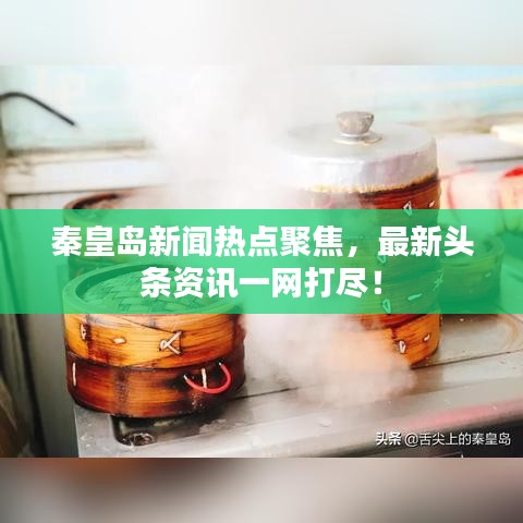 秦皇岛新闻热点聚焦，最新头条资讯一网打尽！