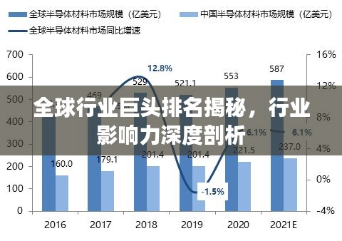 全球行业巨头排名揭秘，行业影响力深度剖析