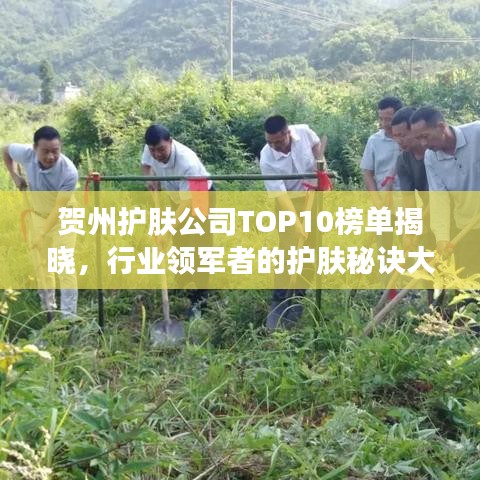 贺州护肤公司TOP10榜单揭晓，行业领军者的护肤秘诀大揭秘！
