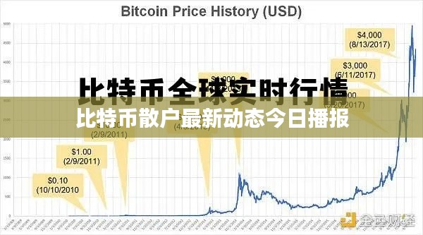 比特币散户最新动态今日播报