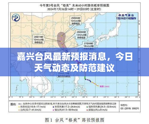 嘉兴台风最新预报消息，今日天气动态及防范建议