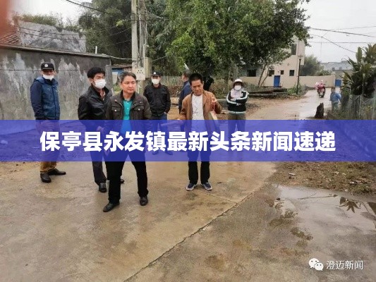 保亭县永发镇最新头条新闻速递