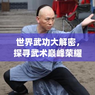 世界武功大解密，探寻武术巅峰荣耀，震撼排名视频！