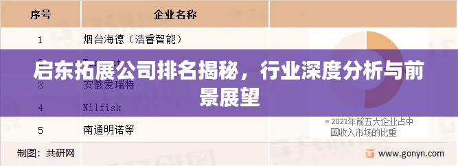 启东拓展公司排名揭秘，行业深度分析与前景展望
