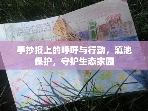 手抄报上的呼吁与行动，滇池保护，守护生态家园