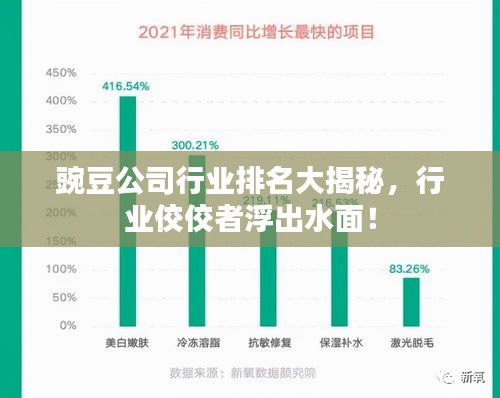 豌豆公司行业排名大揭秘，行业佼佼者浮出水面！