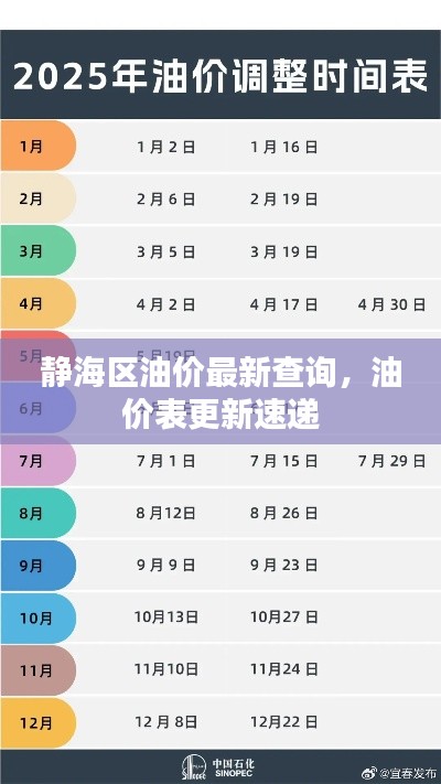 静海区油价最新查询，油价表更新速递