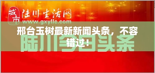 邢台玉树最新新闻头条，不容错过！