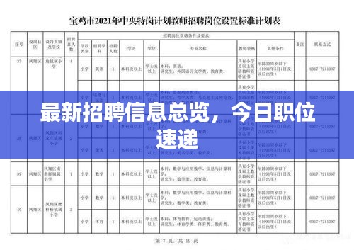 最新招聘信息总览，今日职位速递