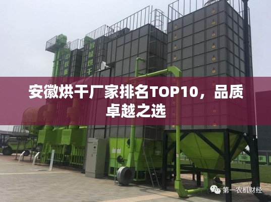 安徽烘干厂家排名TOP10，品质卓越之选