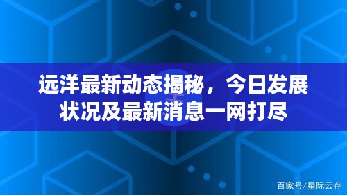 远洋最新动态揭秘，今日发展状况及最新消息一网打尽