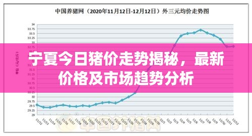 宁夏今日猪价走势揭秘，最新价格及市场趋势分析