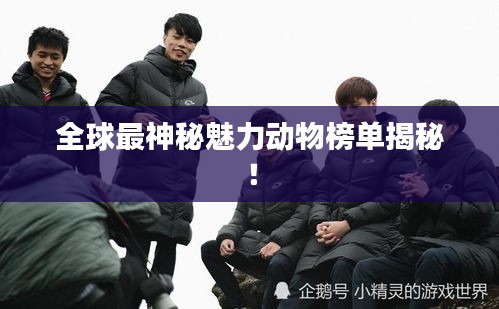 全球最神秘魅力动物榜单揭秘！