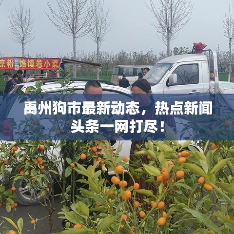 禹州狗市最新动态，热点新闻头条一网打尽！