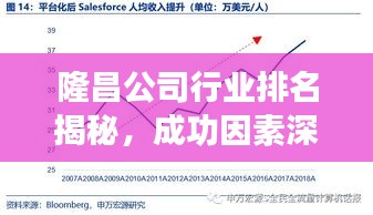 隆昌公司行业排名揭秘，成功因素深度探究