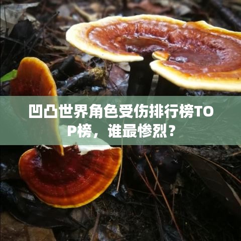 凹凸世界角色受伤排行榜TOP榜，谁最惨烈？