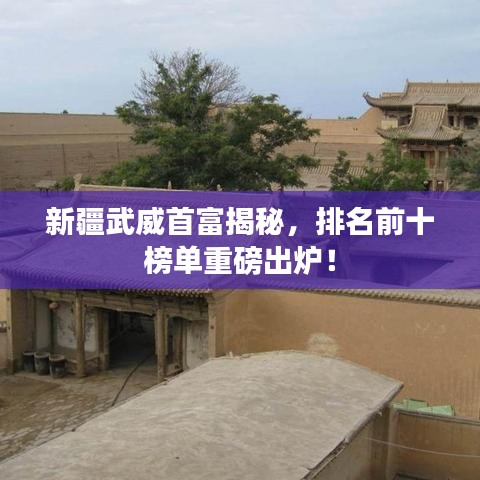 新疆武威首富揭秘，排名前十榜单重磅出炉！