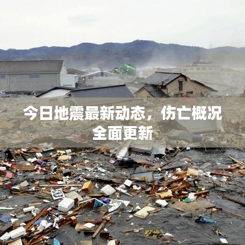 今日地震最新动态，伤亡概况全面更新