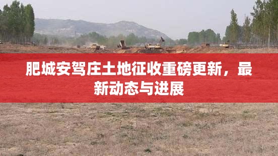 肥城安驾庄土地征收重磅更新，最新动态与进展