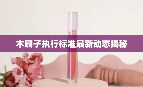 木刷子执行标准最新动态揭秘