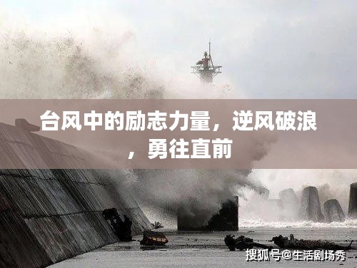 台风中的励志力量，逆风破浪，勇往直前