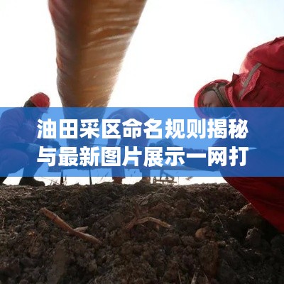 油田采区命名规则揭秘与最新图片展示一网打尽