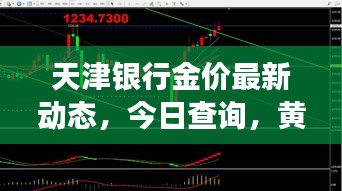 天津银行金价最新动态，今日查询，黄金市场趋势一目了然