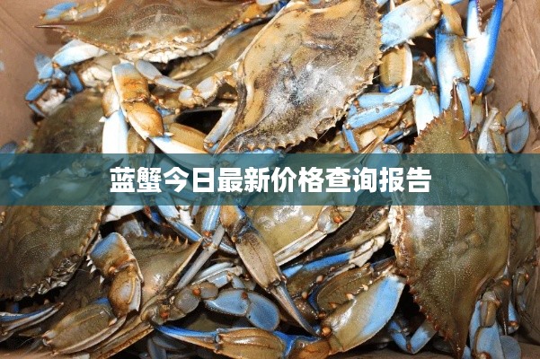 观往知来 第2页
