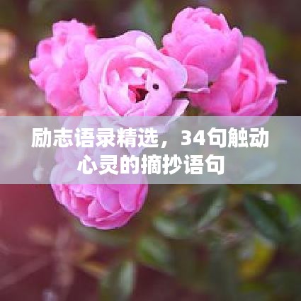 励志语录精选，34句触动心灵的摘抄语句