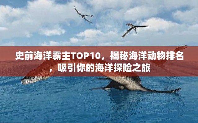 史前海洋霸主TOP10，揭秘海洋动物排名，吸引你的海洋探险之旅