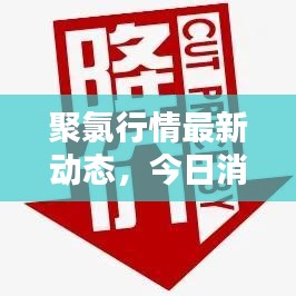 聚氯行情最新动态，今日消息一网打尽！