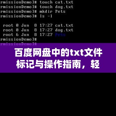 百度网盘中的txt文件标记与操作指南，轻松管理你的文本文件