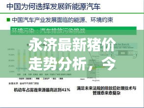 永济最新猪价走势分析，今日市场趋势解读