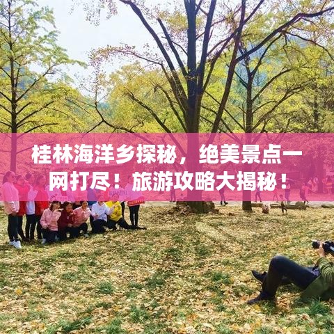 桂林海洋乡探秘，绝美景点一网打尽！旅游攻略大揭秘！