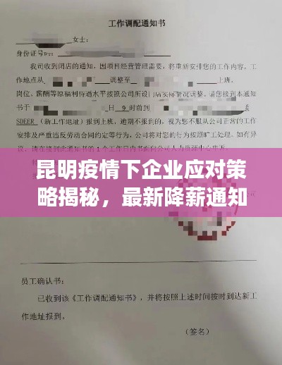 昆明疫情下企业应对策略揭秘，最新降薪通知书深度解读