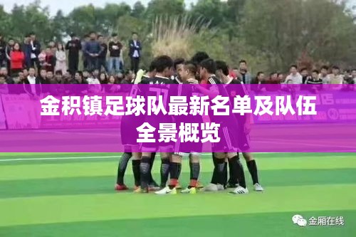 金积镇足球队最新名单及队伍全景概览