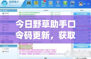 今日野草助手口令码更新，获取与使用指南大全