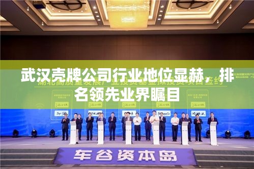 武汉壳牌公司行业地位显赫，排名领先业界瞩目