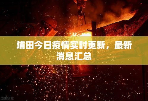 埔田今日疫情实时更新，最新消息汇总