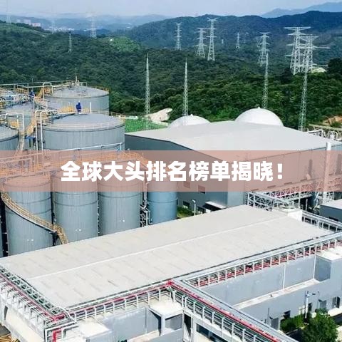 全球大头排名榜单揭晓！