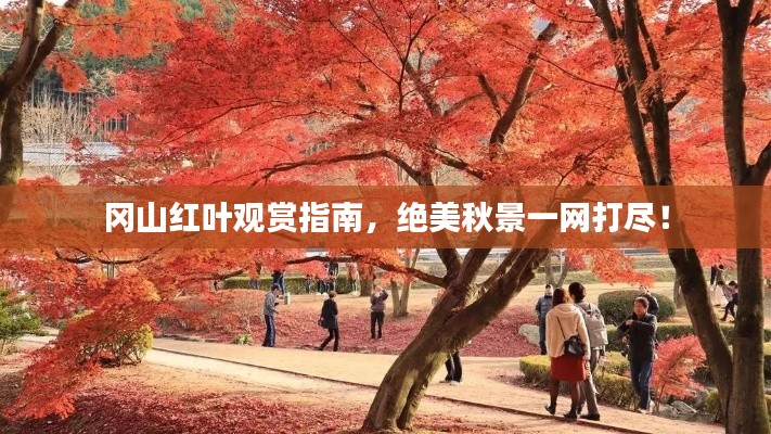 冈山红叶观赏指南，绝美秋景一网打尽！