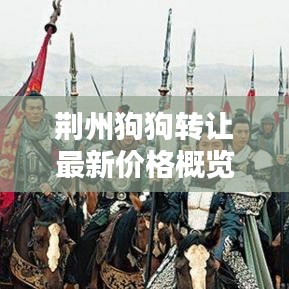 荆州狗狗转让最新价格概览