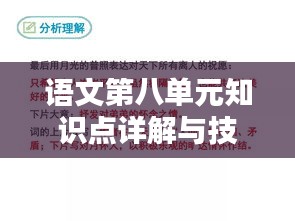 语文第八单元知识点详解与技巧分享